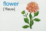 English : flashcards. Nature Природа. Набір карток англійською мовою - Зображення 2