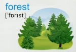 English : flashcards. Nature Природа. Набір карток англійською мовою - Зображення 3