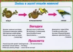 Розповімо дітям. Весняні спостереження - Зображення 2