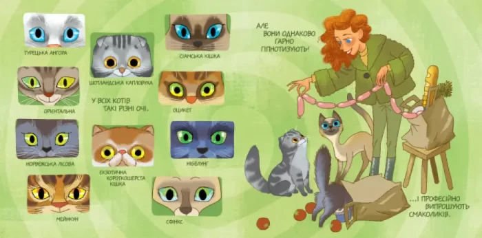 Від вушок до хвостів про котів - Зображення 2