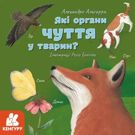 Які органи чуття у тварин? Дізнавайся про світ разом із нами! - Кенгуру