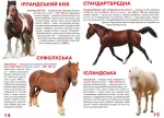 Велика книжка. Коні і поні - Зображення 2