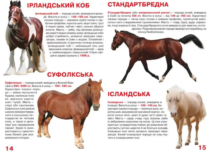 Велика книжка. Коні і поні - Зображення 2