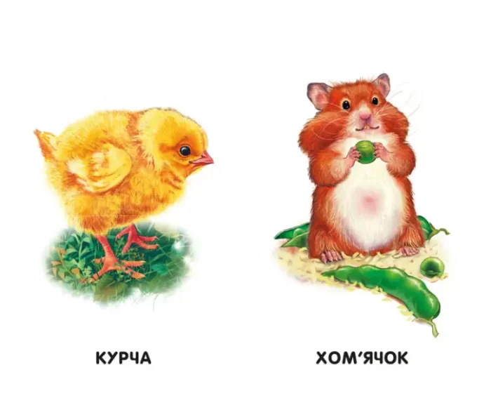 Хто живе у будиночку? Бузкові книжки - Зображення 2
