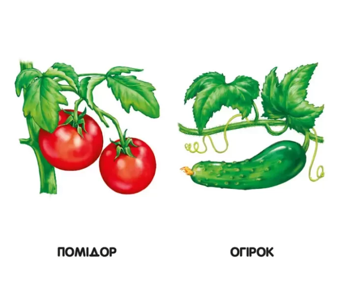 овочі