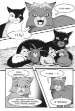 Коти-вояки. Пригоди Сіросмуга. Прихисток вояка. Манґа 2  | Ерін Гантер - Зображення 2