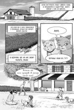 Коти-вояки. Пригоди Сіросмуга. Прихисток вояка. Манґа 2  | Ерін Гантер - Зображення 3