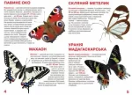 Велика книжка. Метелики - Зображення 2