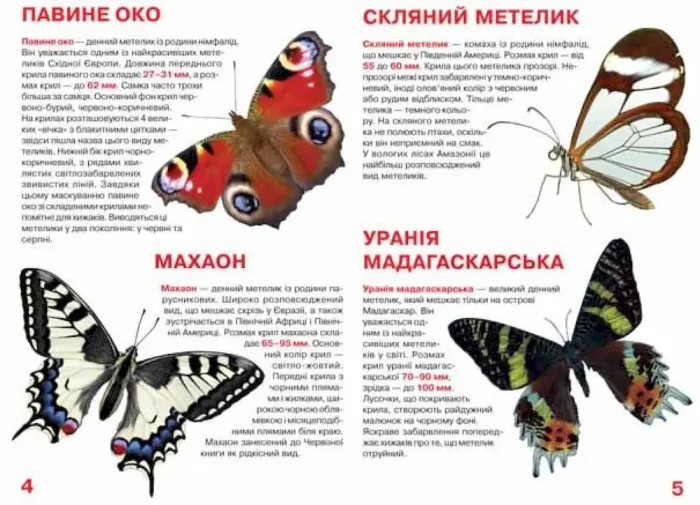 Велика книжка. Метелики - Зображення 2