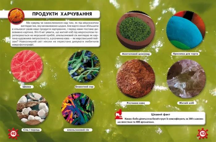 Світ навколо нас. Мікросвіт - Зображення 2