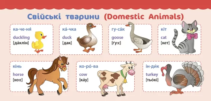 Мовні навички. Міні-плакати для дошкільнят - Зображення 3