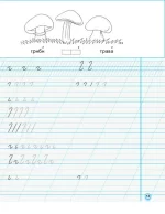 НУШ Прописи. 1 клас. До букваря М. Вашуленка, О. Вашуленко. У 2-х ч. ЧАСТИНА 1 |  Заїка А.М. - Зображення 3
