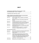 Розробки уроків. Усі уроки української мови 11 клас 1 семестр - Зображення 2