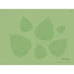 Альбом дошкільника. Мій альбом для малювання 4-5 років. Частина 1 - Зображення 4