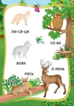Пригоди в лісі. Книжка з наліпками - Зображення 2