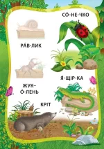Пригоди в лісі. Книжка з наліпками - Зображення 3
