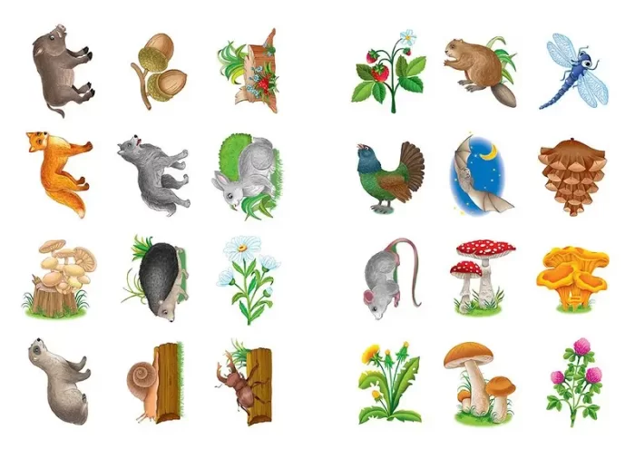 Пригоди в лісі. Книжка з наліпками - Зображення 4