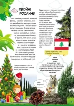 Велика енциклопедія молодшого школяра. Все про все - Зображення 6