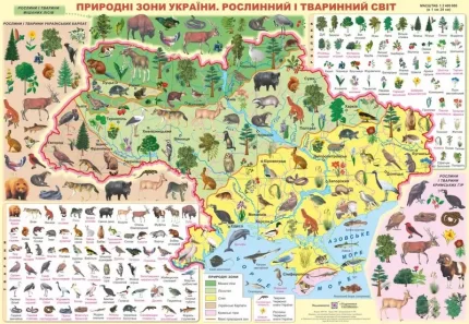 Плакат «Природні зони України. Рослинний і тваринний світ» - Підручники і посібники