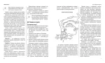 Новий довідник. Українська мова - Зображення 2