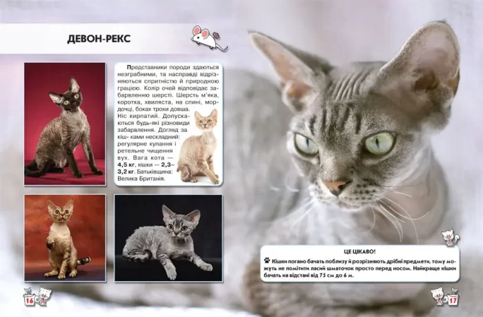 Світ навколо нас. Кішки - Зображення 3