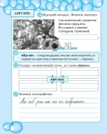 Робота з словниковими словами в 3 клас - Зображення 2