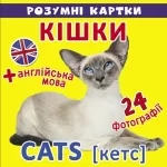 Кішки. 12 карток. Розумні картки - Crystal Book
