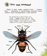 Комахи. Енциклопедія дошкільника - Зображення 2