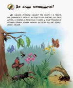 Комахи. Енциклопедія дошкільника - Зображення 4