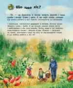 Ліс. Енциклопедія дошкільника - Зображення 2
