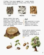 Ліс. Енциклопедія дошкільника - Зображення 4