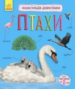 Птахи. Енциклопедія дошкільника - Ранок