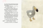Класика в ілюстраціях. Аліса в Країні див - Зображення 4