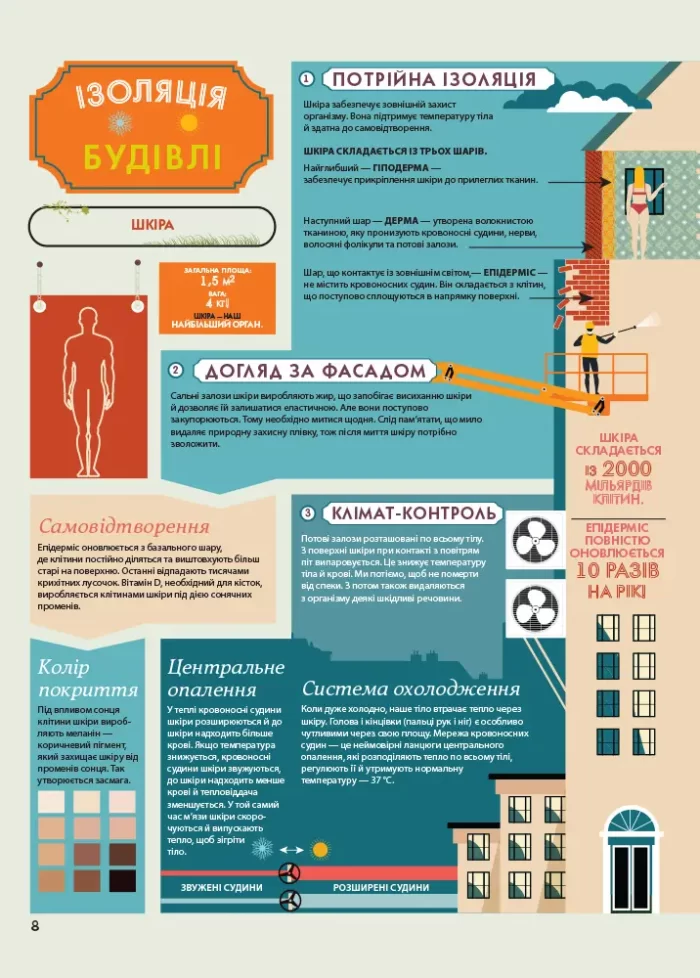 Анатомія. Атлас. Серія "Крутезна інфографіка" - Зображення 4
