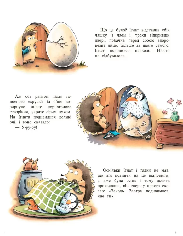 Пригоди з лабіринтами. Їжак Ігнат і У-ру-ру - Зображення 3