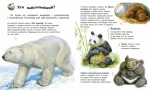 Енциклопедія дошкільника (збірник) - Зображення 2