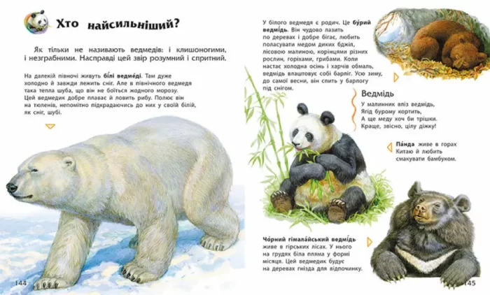 Енциклопедія дошкільника (збірник) - Зображення 2