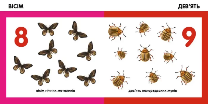 Лічимо комах. Смарт-книги - Зображення 2