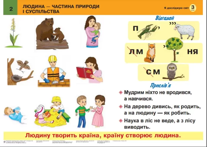 Я досліджую світ. 3 клас. Таблиці. НУШ - Зображення 6