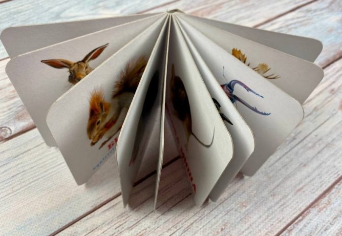 У лісі. Книжка-малятко - Зображення 3