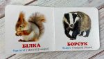 У лісі. Книжка-малятко - Зображення 2