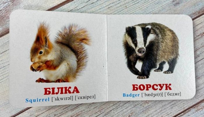 У лісі. Книжка-малятко - Зображення 2