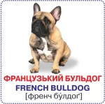 Собаки. 12 карток. Розумні картки - Зображення 2