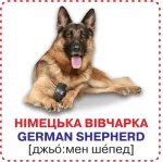 Собаки. 12 карток. Розумні картки - Зображення 3