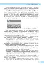 Інформатика: вебтехнології (вибірковий модуль для 10–11 класів, рівень стандарту) - Зображення 3