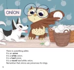 Читай англійською / The Owl at the Supermarket. Сова в супермаркеті - Зображення 4
