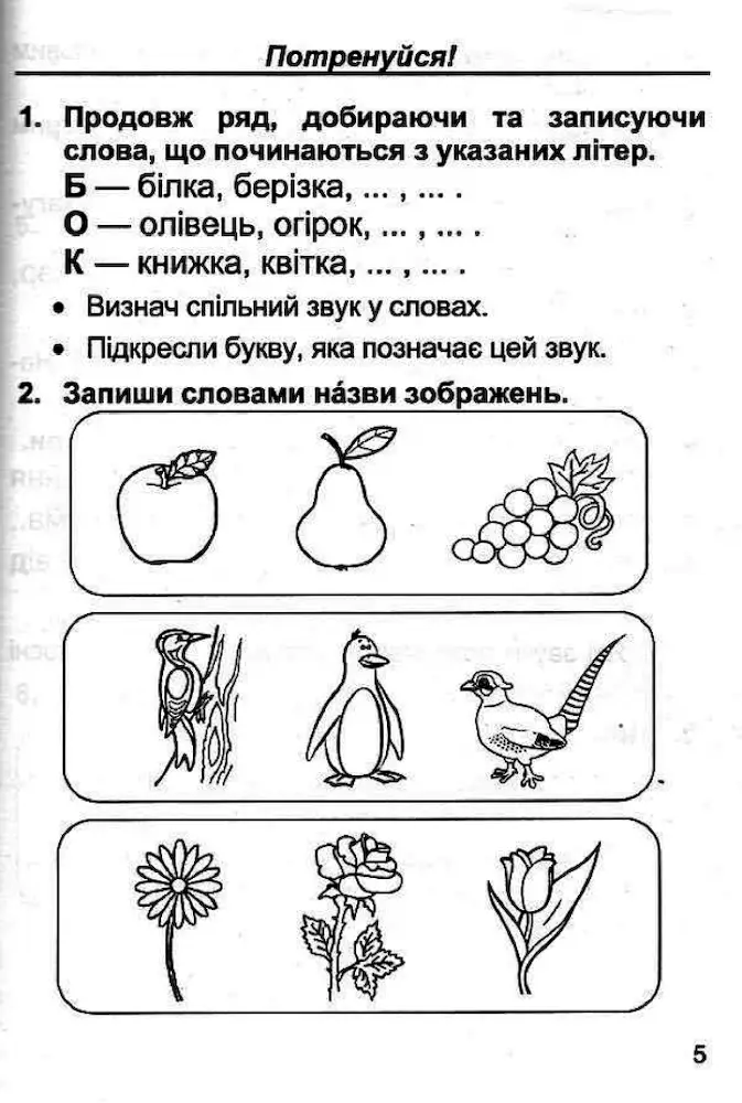 Тренажер з української мови. Дидактичні матеріали. 1 клас - Зображення 3