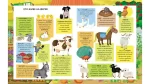 Ферма. Моя перша книжка наліпок - Зображення 2