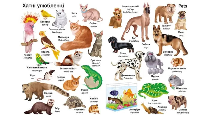 Перші слова. Тварини. + англійська - Зображення 3