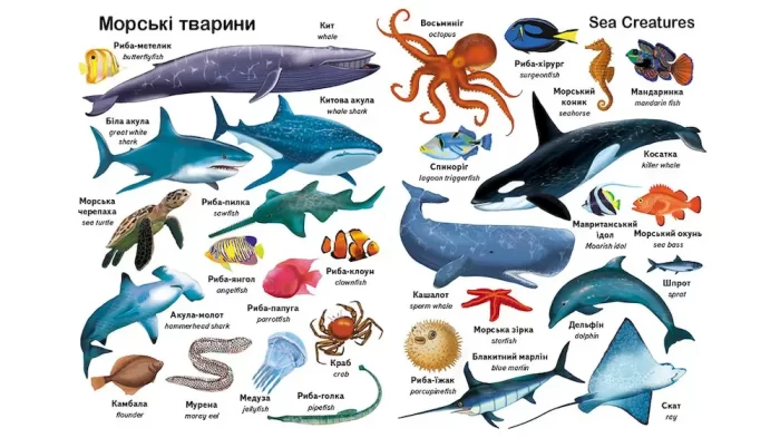 Перші слова. Тварини. + англійська - Зображення 4